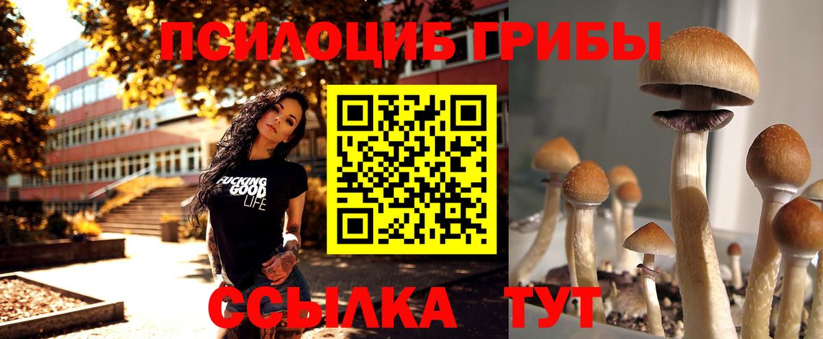 Калач-на-Дону  Псилоцибиновые грибы прущие грибы  Вход с VPN 